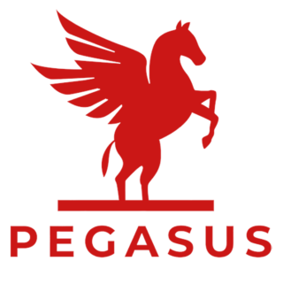 https://www.pegasus-software.gr/wp-content/uploads/2024/06/pegasus-flying-croped700-320x321.png